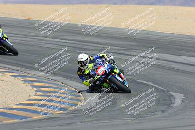 media/Mar-23-2025-CVMA (Sun) [[674f32b282]]/Race 6-Stock 1000 Shootout/